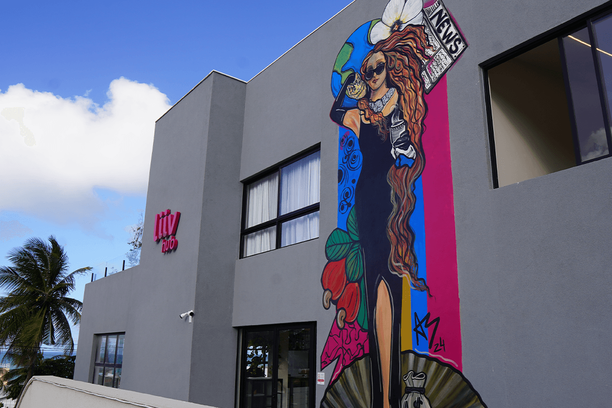 Liiv Hub